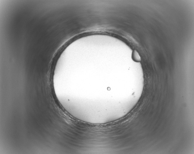 X0000069811216200606091826