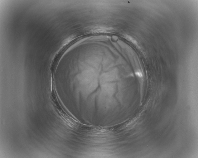 X0000069811219200606091826