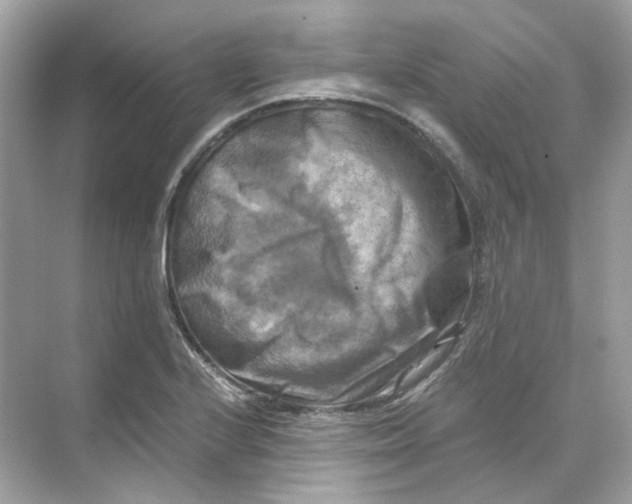 X0000069811224200606091826