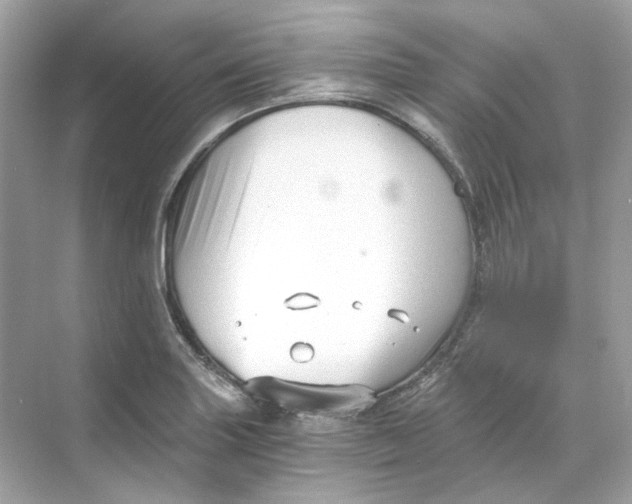 X0000069811227200606091826