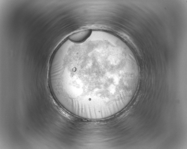 X0000069811228200606091826