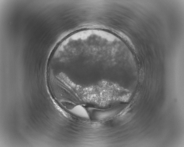 X0000069811231200606091826