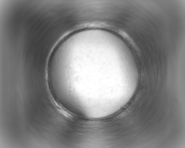 X0000069811232200606091826