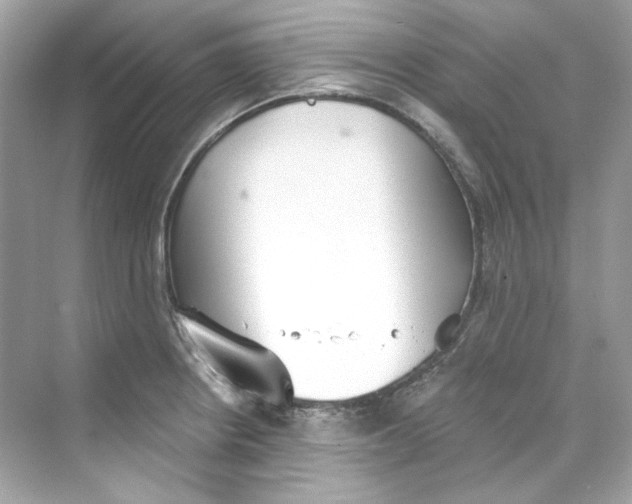 X0000069811234200606091826