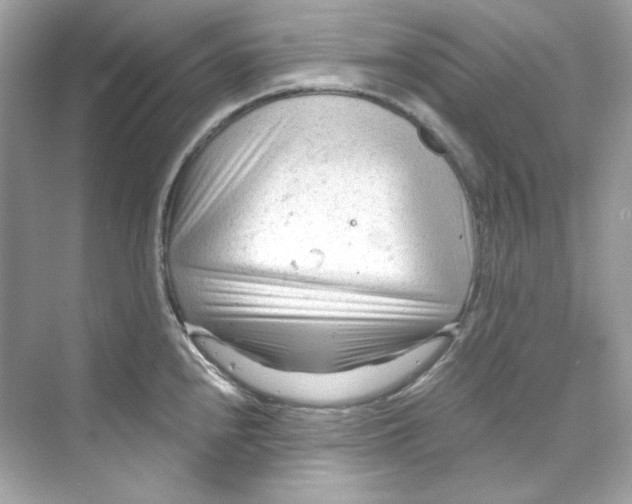 X0000069811240200606091826