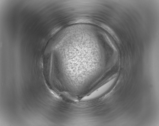 X0000069811241200606091826