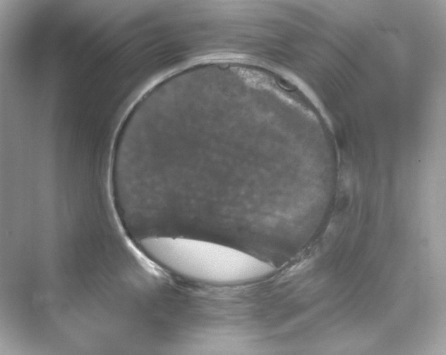 X0000069811245200606091827