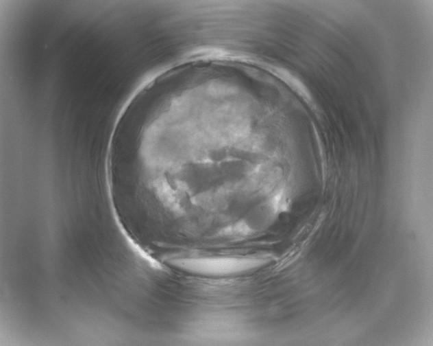 X0000069811247200606091827