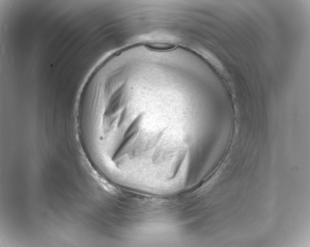 X0000069811248200606091827