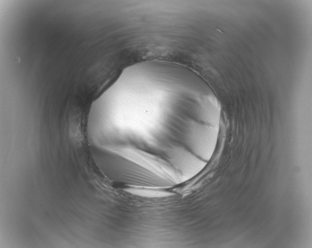 X0000069811250200606091826