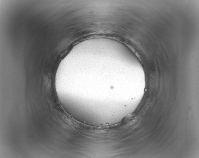 X0000069811257200606091826