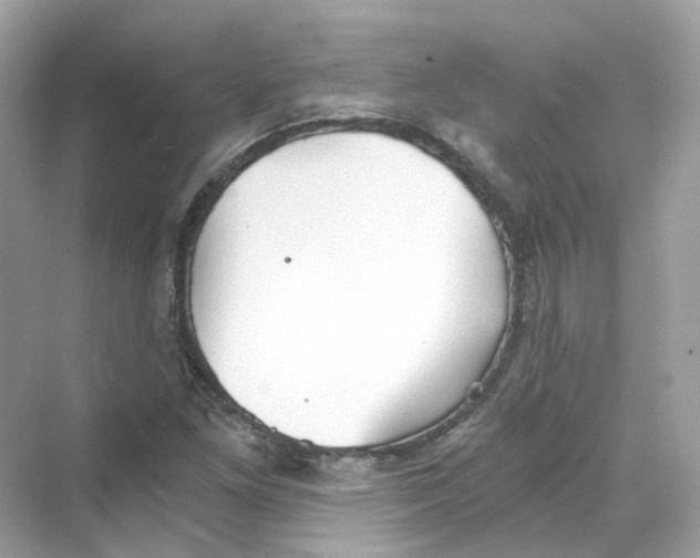 X0000069811261200606091826