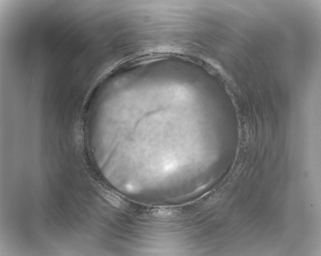 X0000069811266200606091825