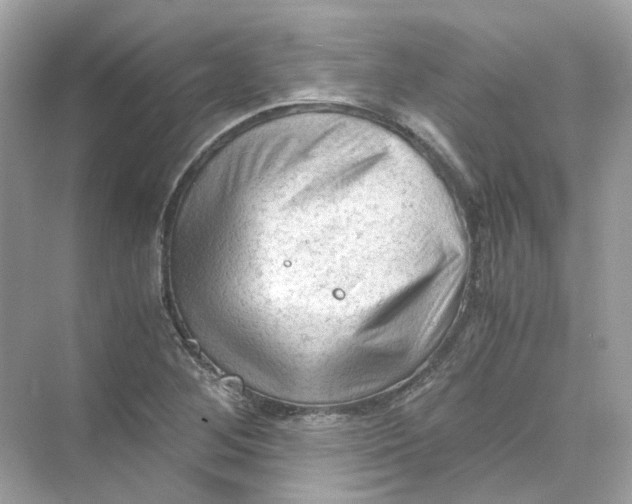 X0000069811268200606091825