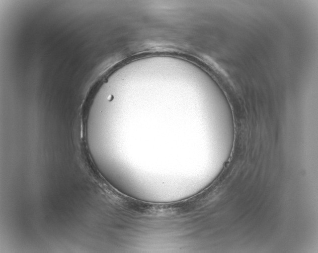 X0000069811269200606091825