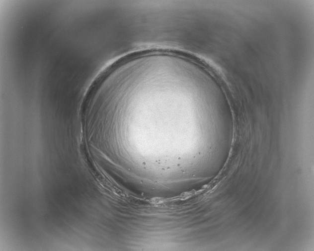 X0000069811271200606091825