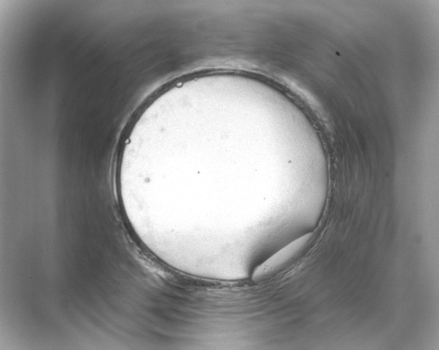 X0000069811272200606091825