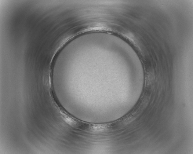 X0000069811274200606091825