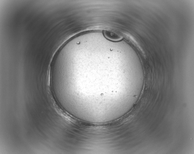 X0000069811276200606091825