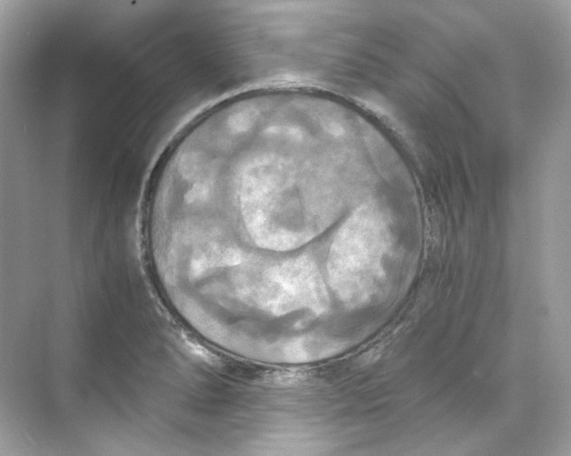 X0000069811278200606091825