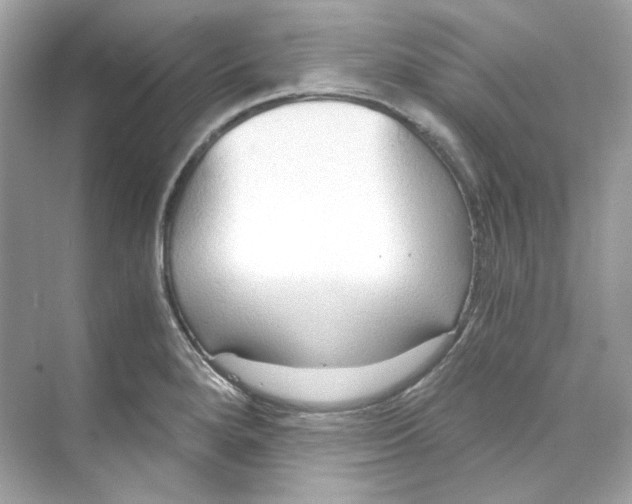 X0000069811280200606091825