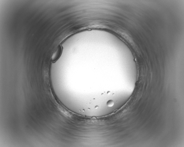 X0000069811281200606091825