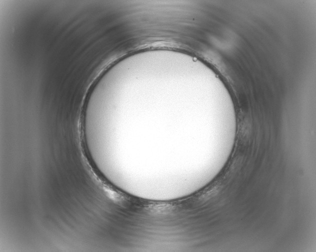 X0000069811282200606091825