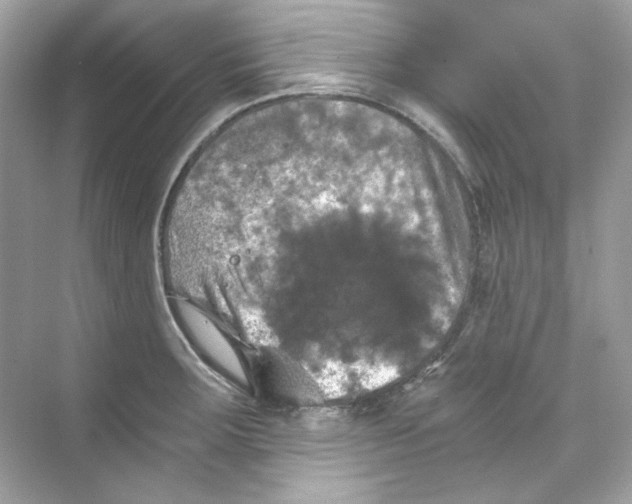 X0000069811283200606091825