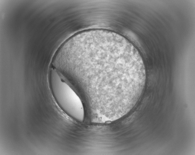 X0000069811284200606091825