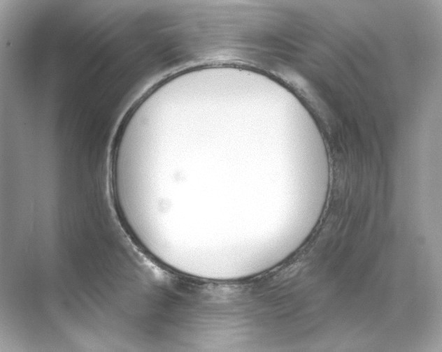 X0000069811286200606091825