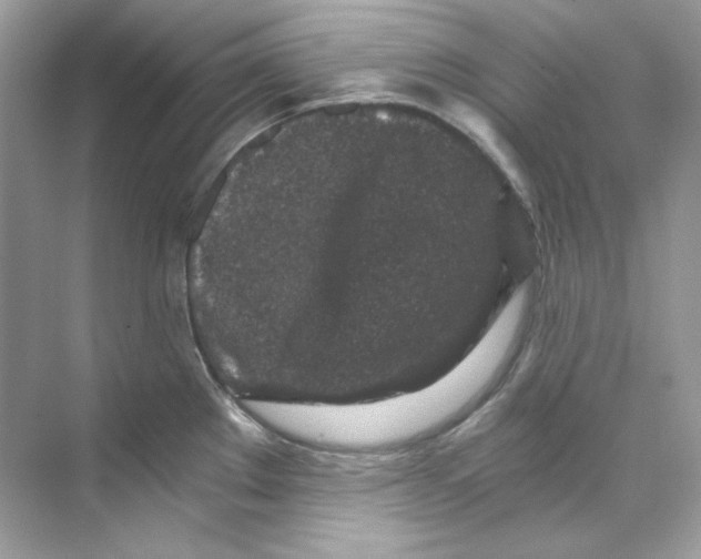 X0000069811289200606091825