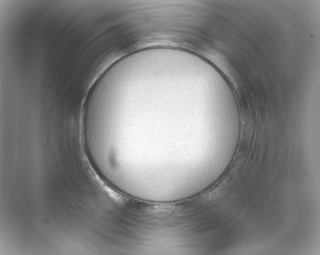 X0000069811290200606091825