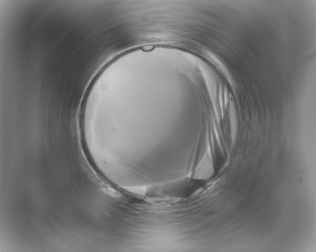 X0000069811291200606091825