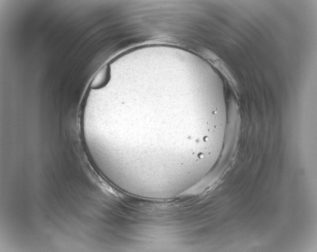 X0000069811292200606091825