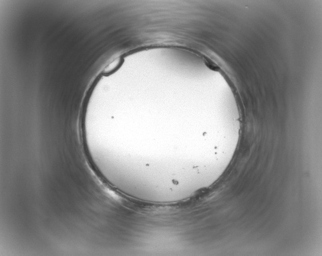 X0000069811293200606091825