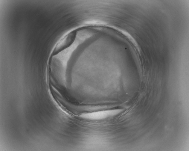 X0000069811295200606091825