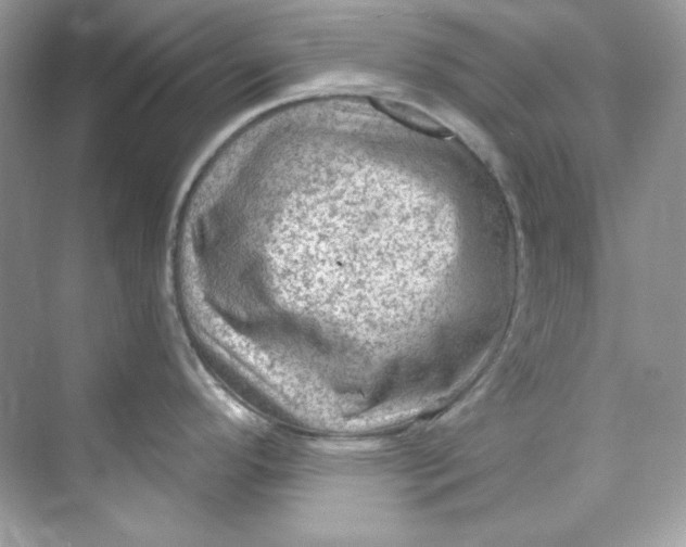 X0000069811296200606091825