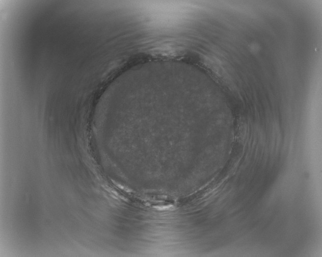 X0000069811297200606091824