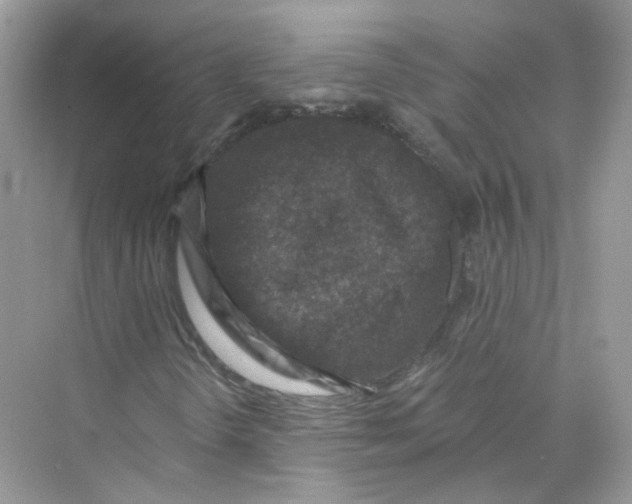 X0000069811298200606091824