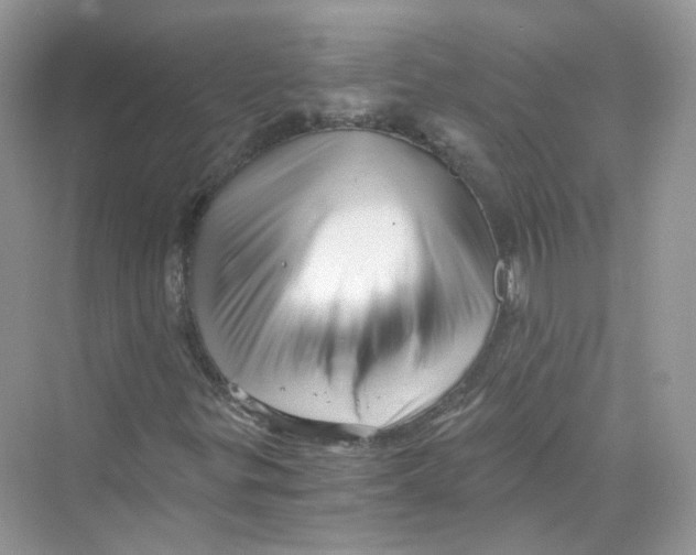 X0000069811299200606091824