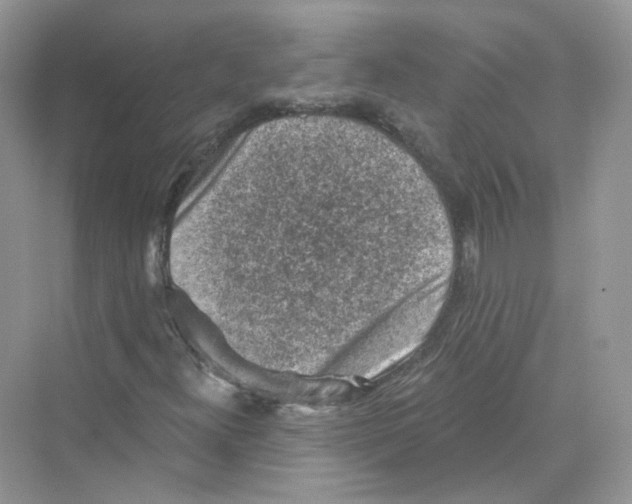 X0000069811300200606091824