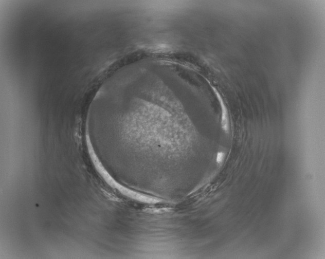 X0000069811301200606091824