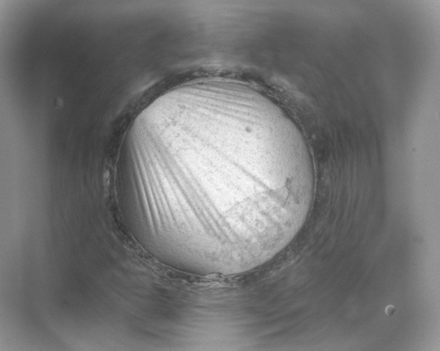 X0000069811302200606091824