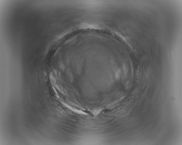 X0000069811303200606091824