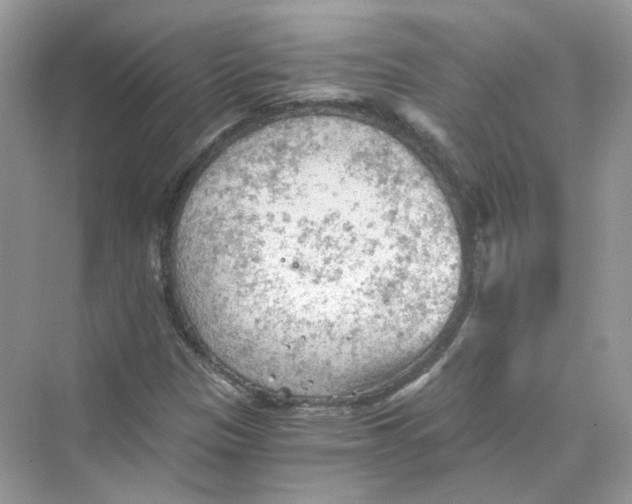 X0000069811305200606091824