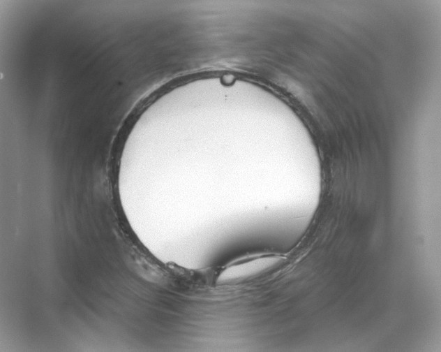 X0000069811308200606091824