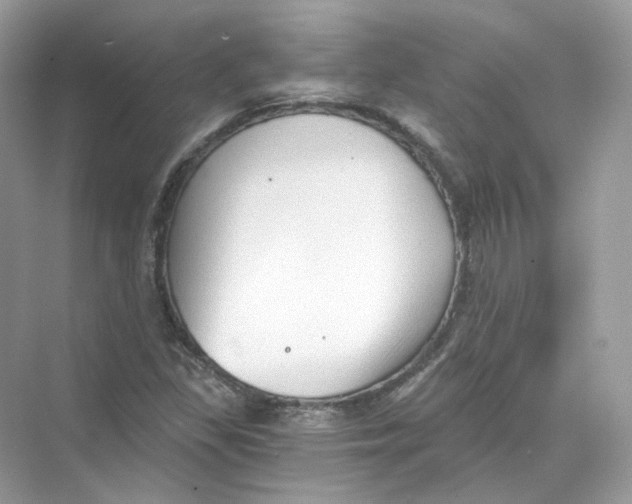 X0000069811309200606091824