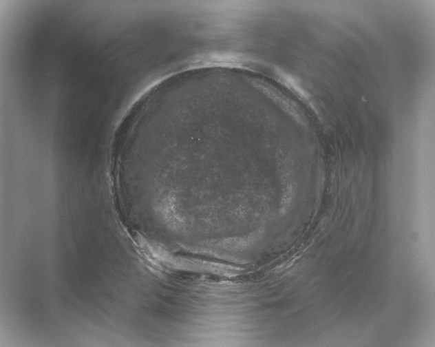 X0000069811312200606091824