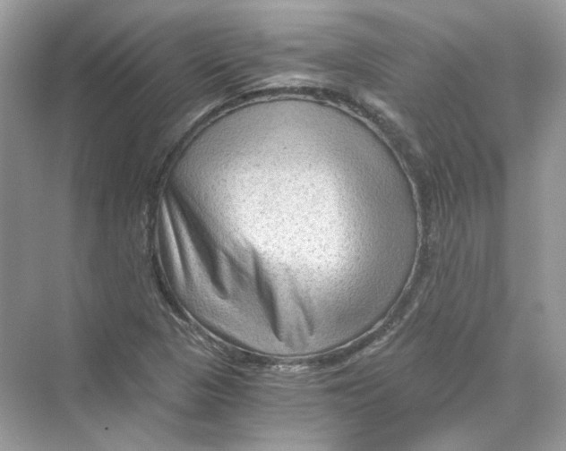 X0000069811313200606091824