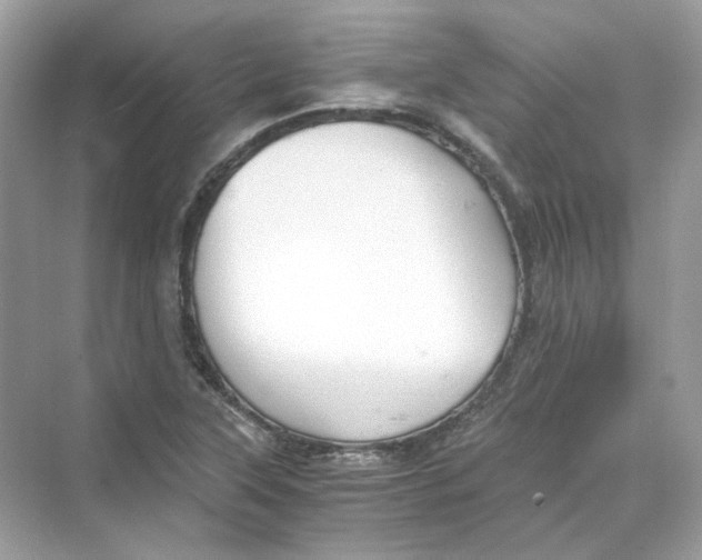 X0000069811315200606091824